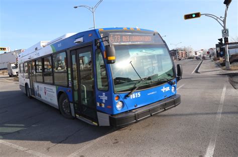 STL Buses .